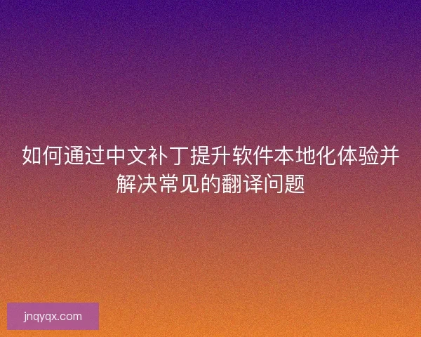 如何通过中文补丁提升软件本地化体验并解决常见的翻译问题