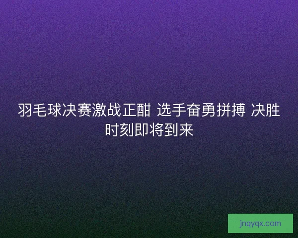 羽毛球决赛激战正酣 选手奋勇拼搏 决胜时刻即将到来
