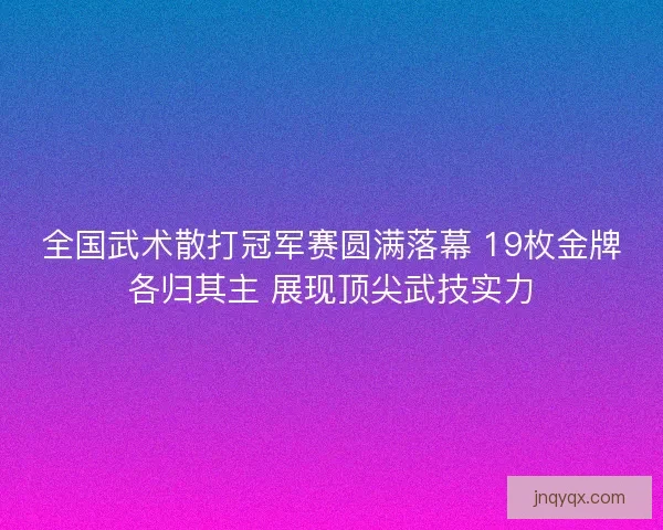 全国武术散打冠军赛圆满落幕 19枚金牌各归其主 展现顶尖武技实力